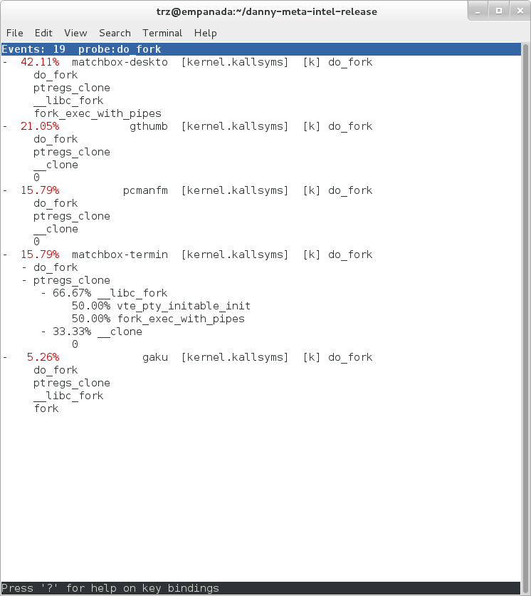 _images/perf-probe-do_fork-profile.png